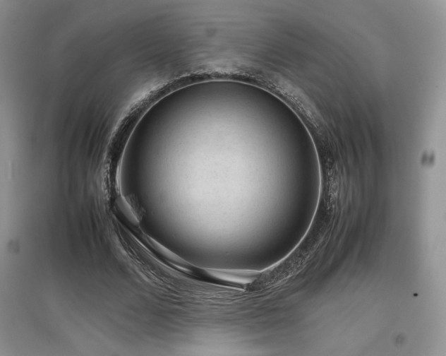 X0000097840680200803141208