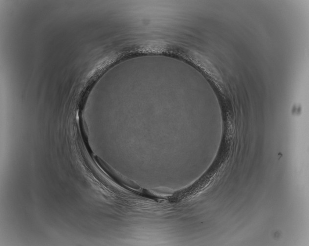 X0000097840681200803141208