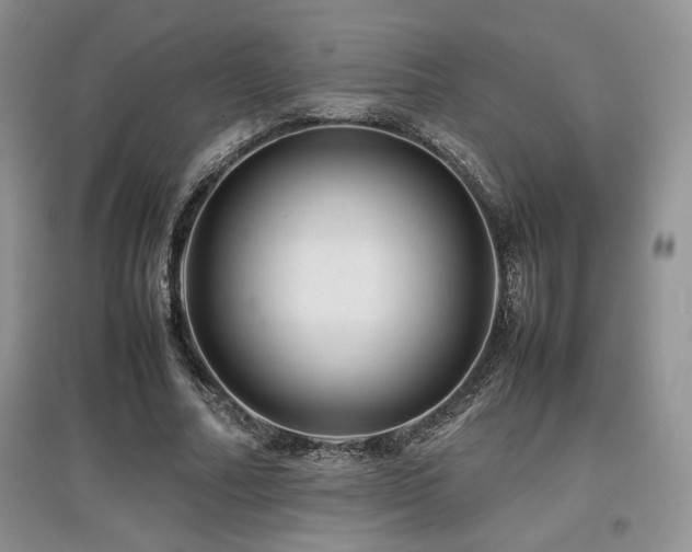 X0000097840682200803141208
