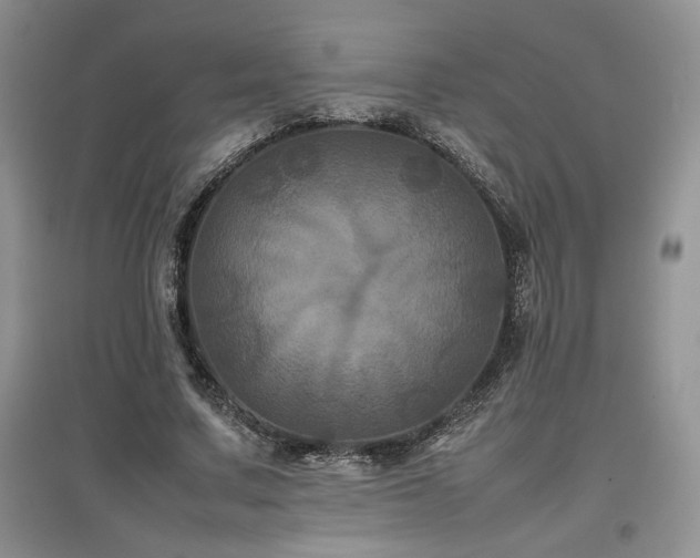 X0000097840683200803141208