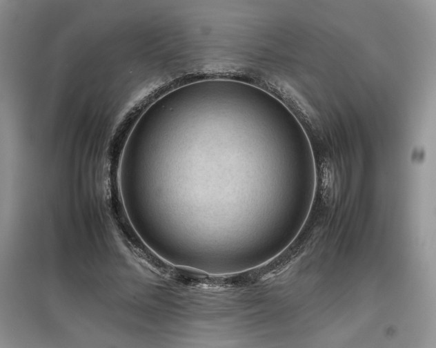 X0000097840684200803141208