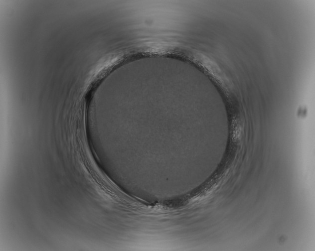 X0000097840685200803141208