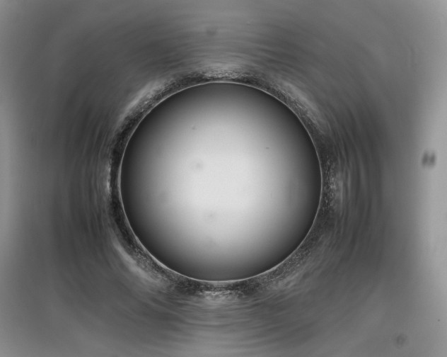 X0000097840686200803141208
