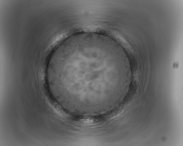 X0000097840687200803141208