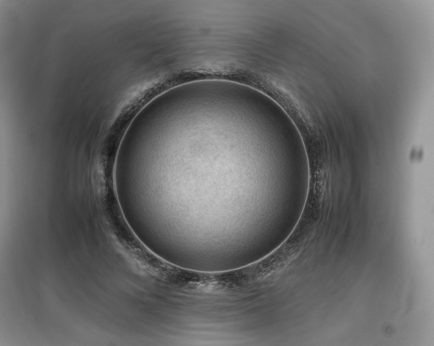 X0000097840688200803141208
