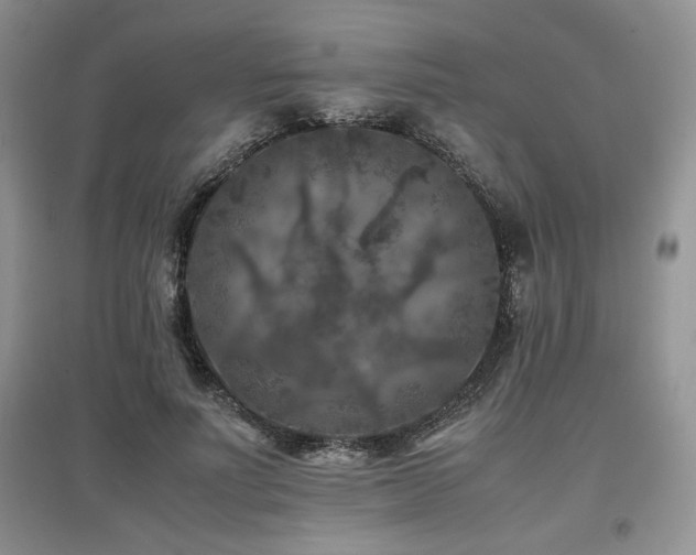 X0000097840691200803141208