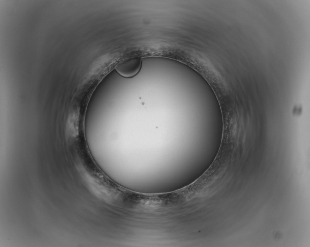 X0000097840694200803141208