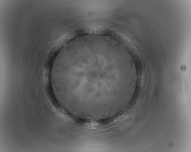 X0000097840695200803141208