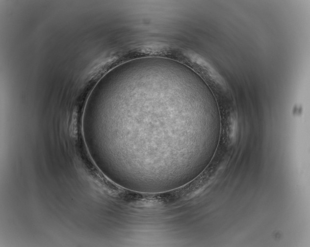 X0000097840696200803141208