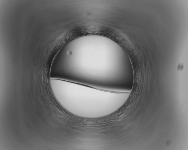 X0000097840697200803141208