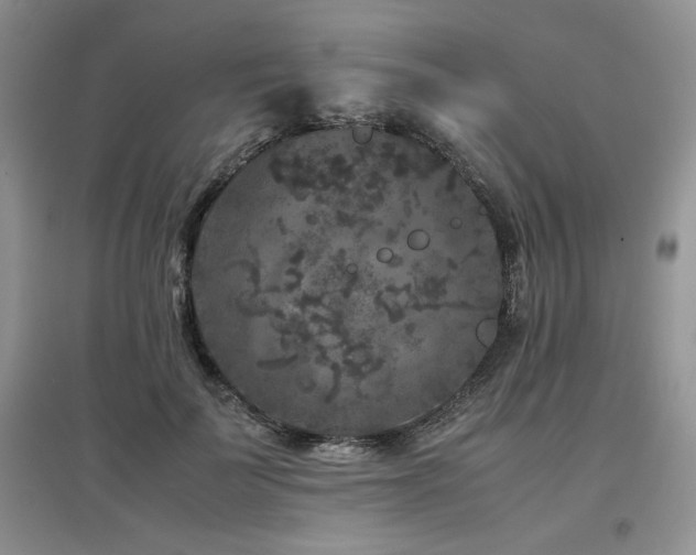 X0000097840699200803141208