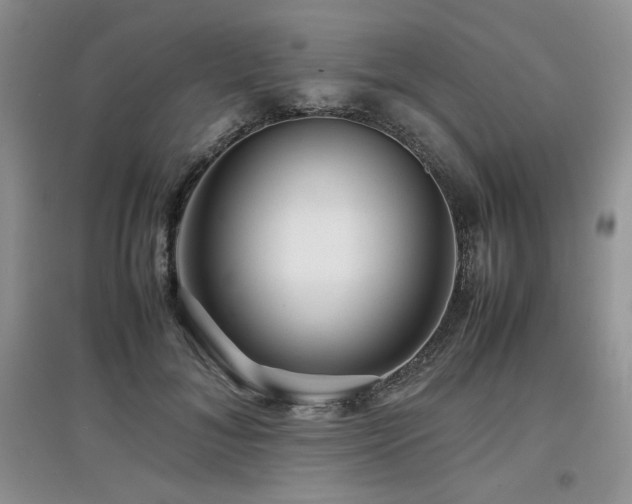 X0000097840700200803141208