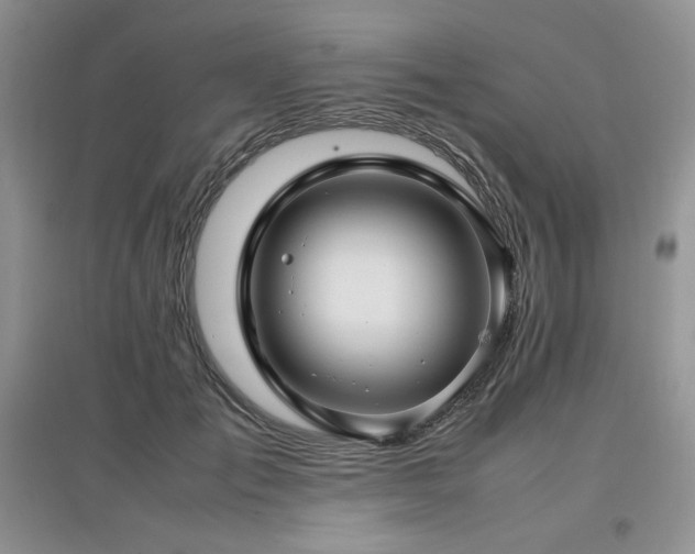 X0000097840701200803141208