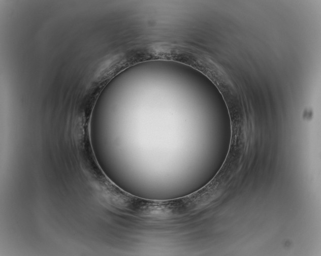 X0000097840702200803141208