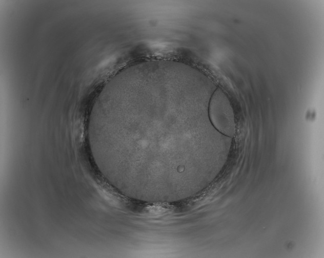 X0000097840703200803141208