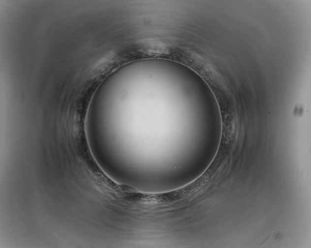 X0000097840704200803141208