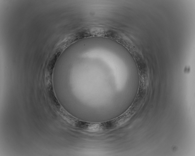 X0000097840705200803141208