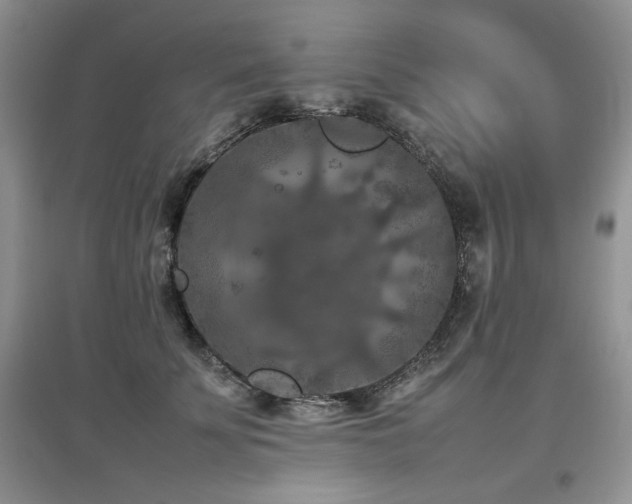 X0000097840707200803141208