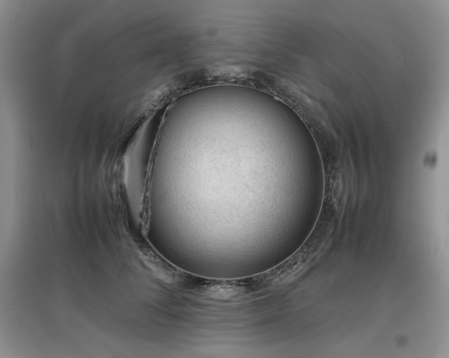 X0000097840708200803141208