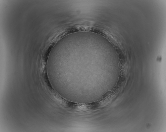 X0000097840709200803141208