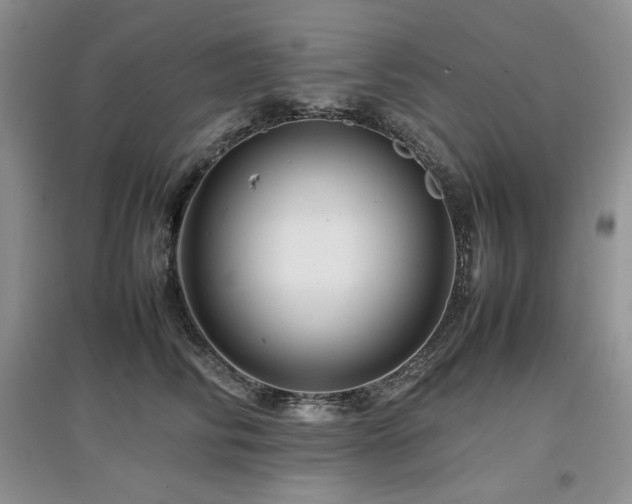 X0000097840710200803141208