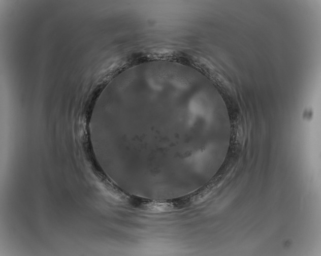 X0000097840711200803141208