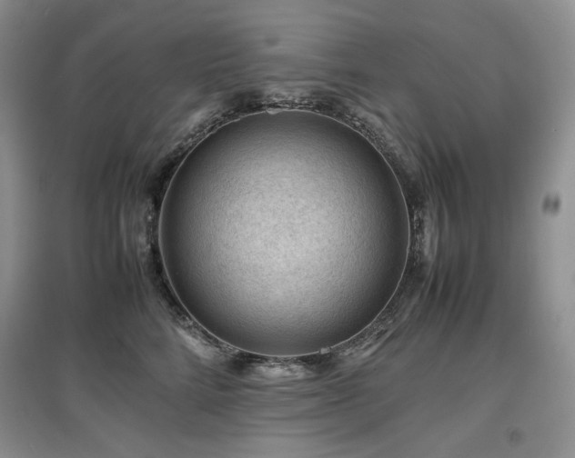 X0000097840712200803141208