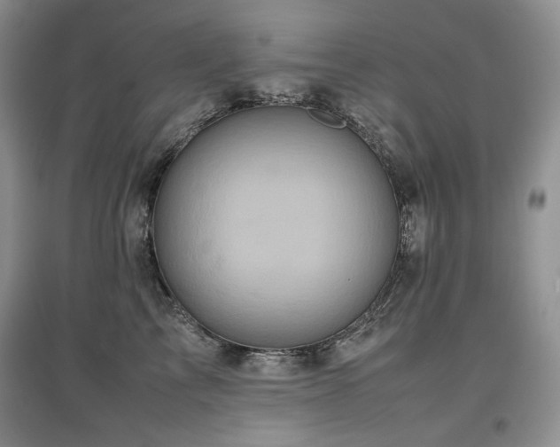 X0000097840713200803141208