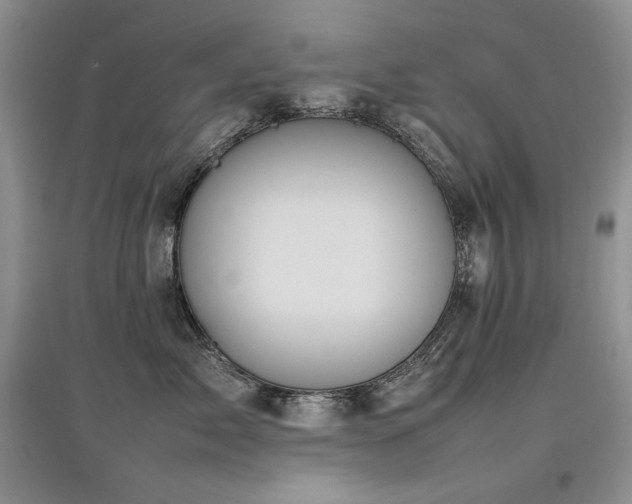 X0000097840717200803141208