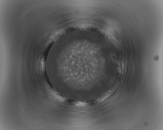 X0000097840718200803141208