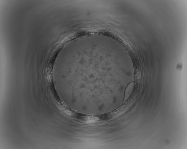 X0000097840719200803141208