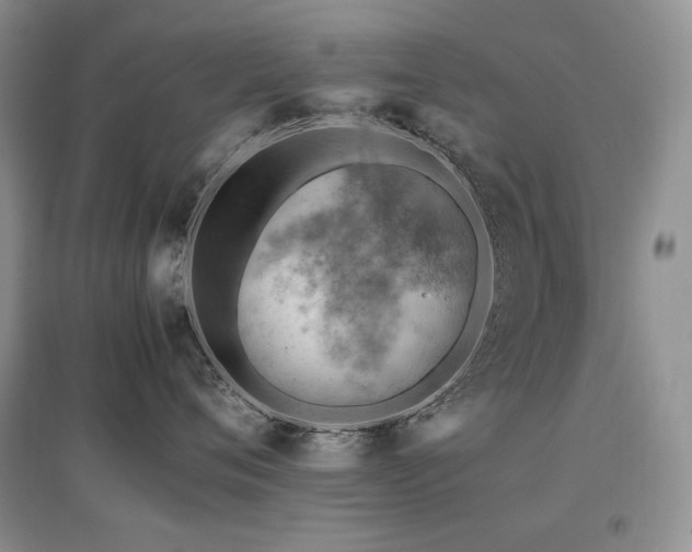 X0000097840720200803141208