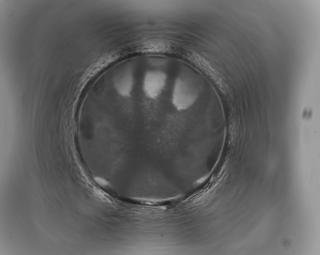 X0000097840721200803141207