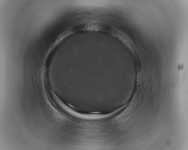 X0000097840722200803141207