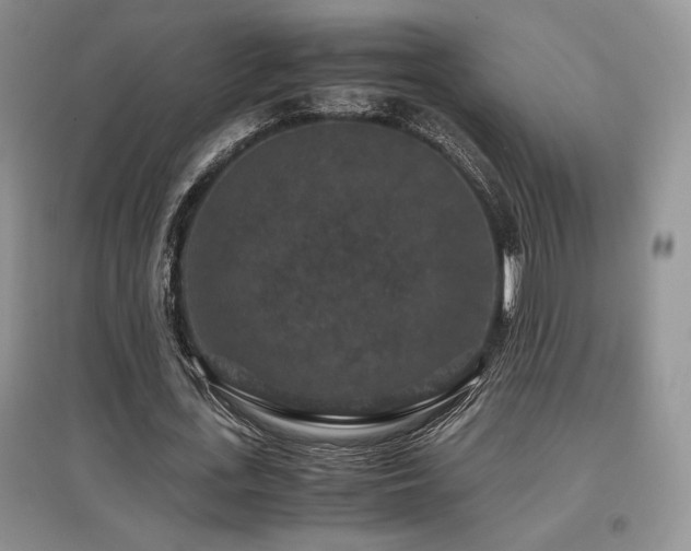 X0000097840723200803141207