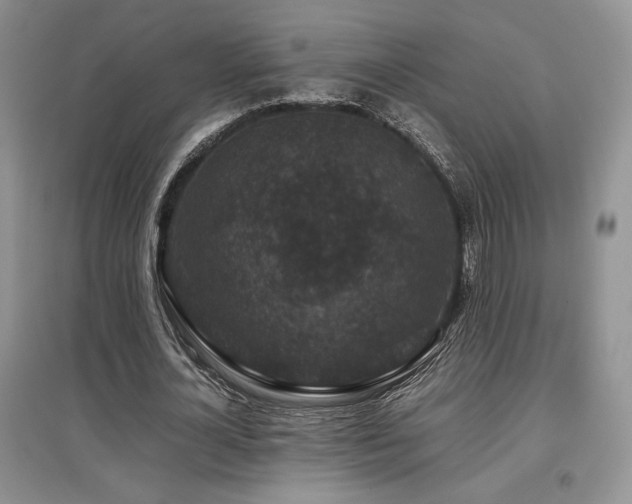 X0000097840724200803141207