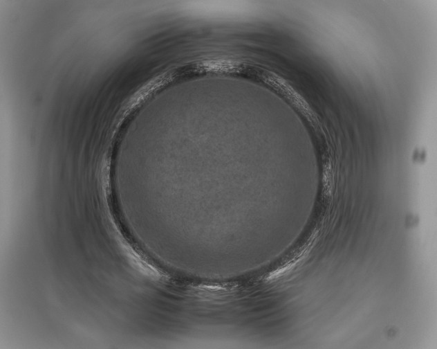 X0000097840725200803141207