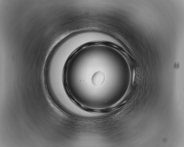 X0000097840726200803141207