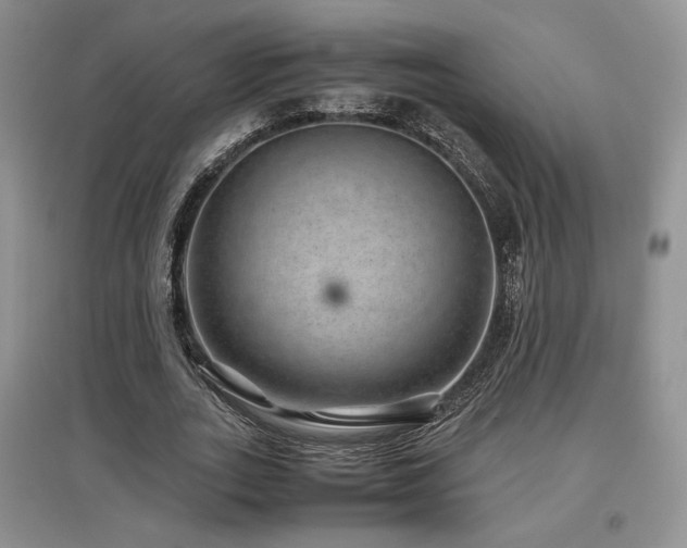 X0000097840727200803141207