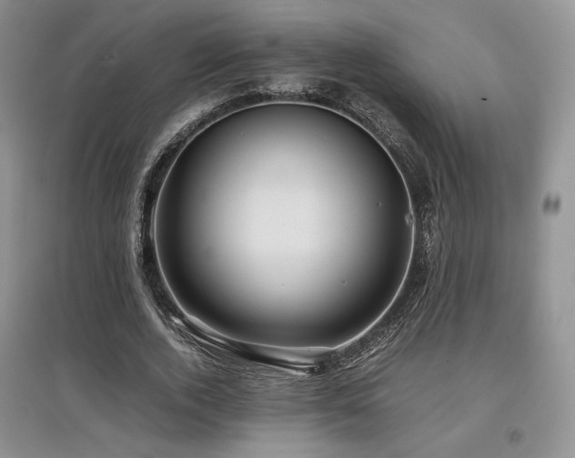 X0000097840728200803141207