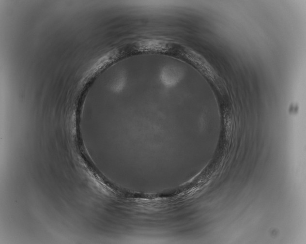 X0000097840729200803141207
