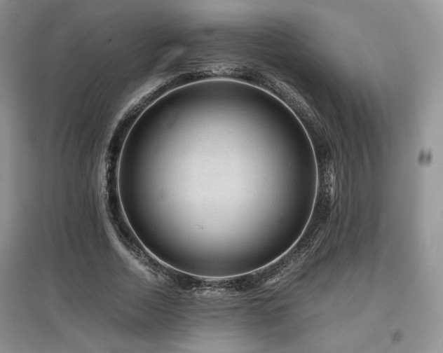 X0000097840730200803141207
