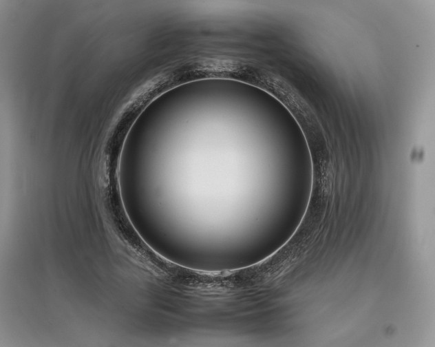 X0000097840731200803141207
