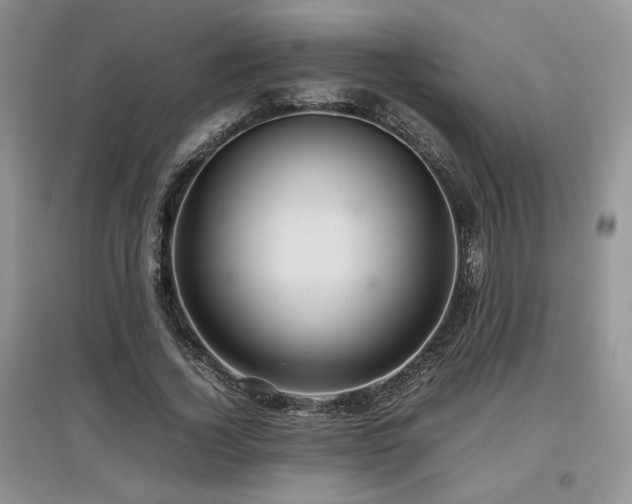 X0000097840732200803141207