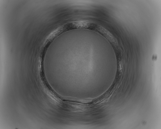 X0000097840733200803141207