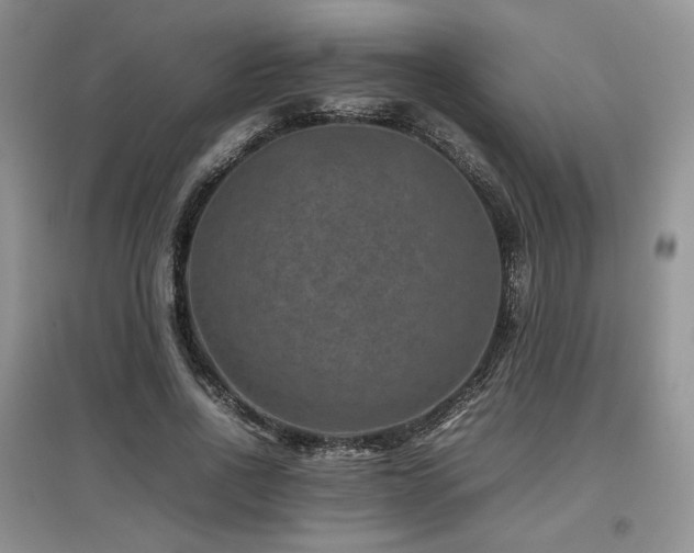 X0000097840734200803141207