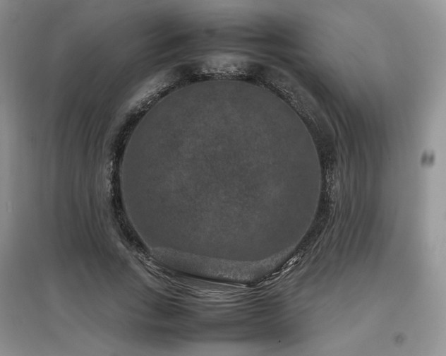 X0000097840735200803141207