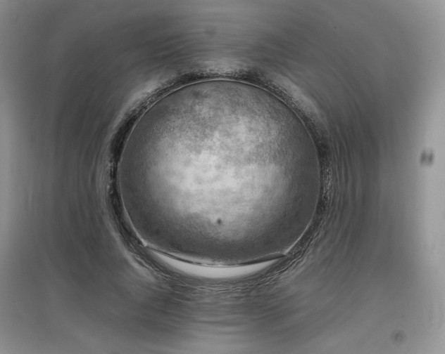 X0000097840736200803141207
