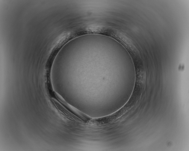X0000097840738200803141207