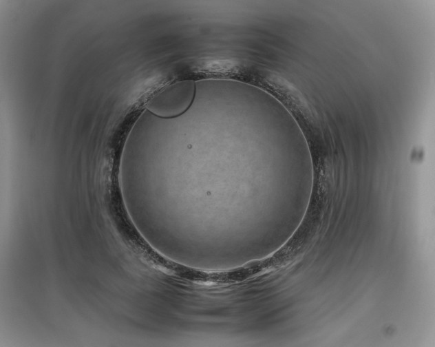 X0000097840739200803141207